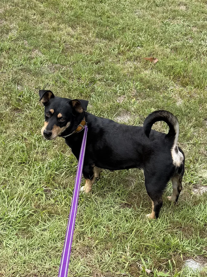 Little Momma thumbnail 5