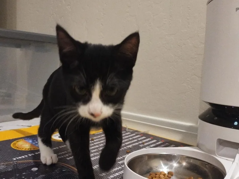 Fria – A Little thumbnail 3