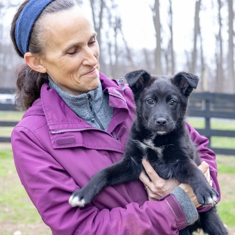 Chivesavail thumbnail 2