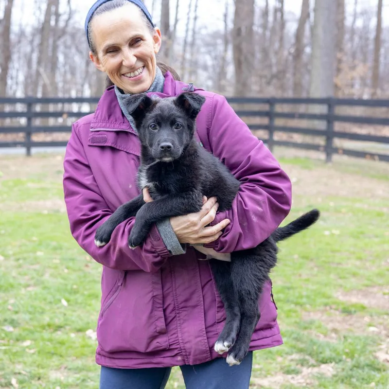 Chivesavail thumbnail 3