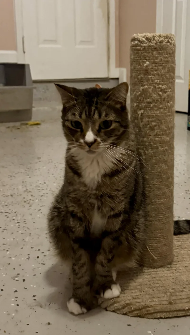 Foots =^.^= thumbnail 2