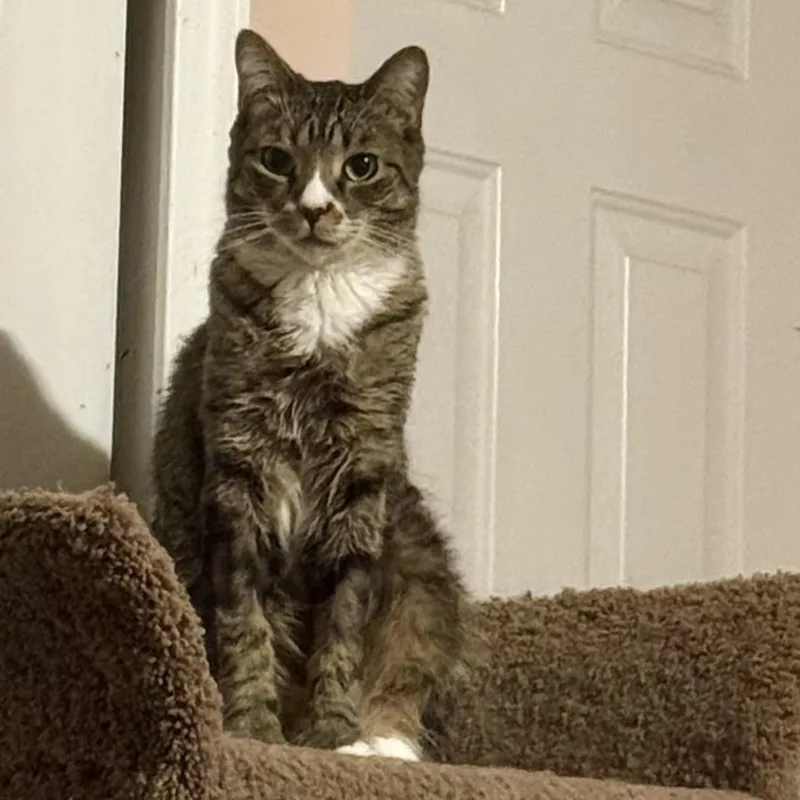 Foots =^.^= thumbnail 3