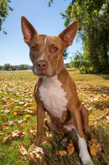 Cookie  Stunning Girl! thumbnail 3