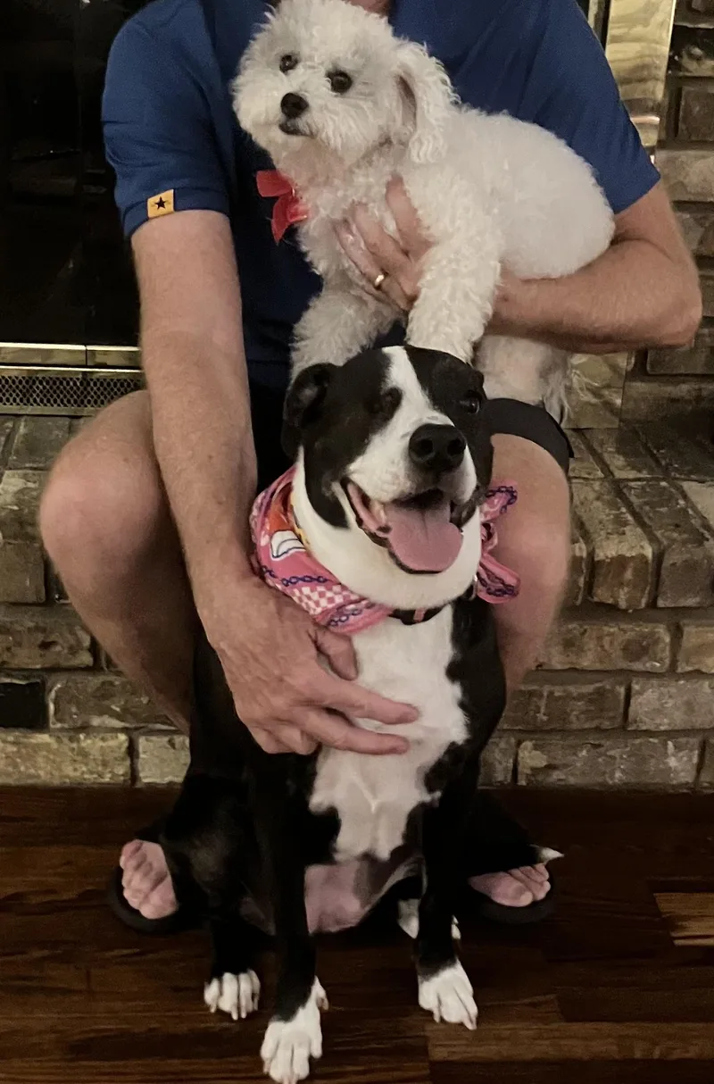 Marley and Millie