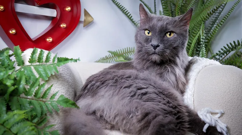 Hunter & Gracie thumbnail 4