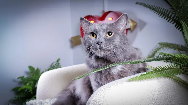 Hunter & Gracie thumbnail 5