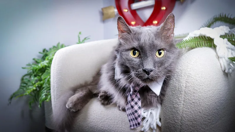 Hunter & Gracie thumbnail 6