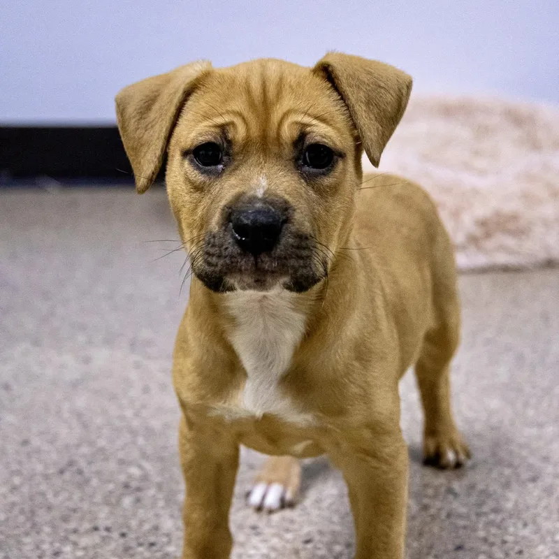 Haley Winn thumbnail 2