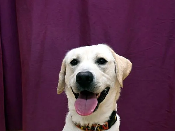 Milo