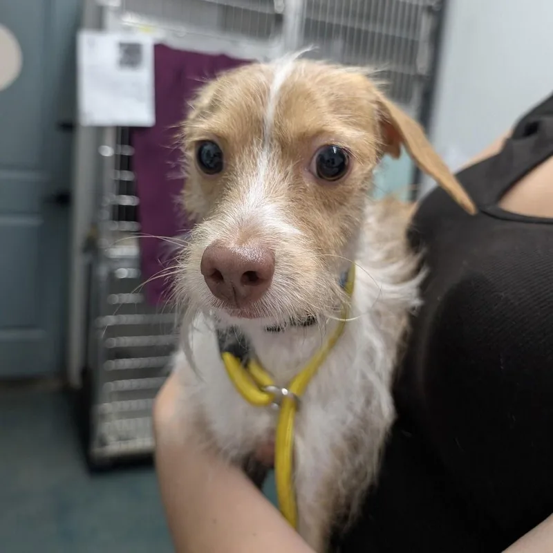 Mr. Bubbles thumbnail 2