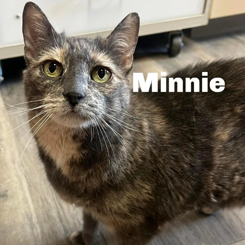 Minnie