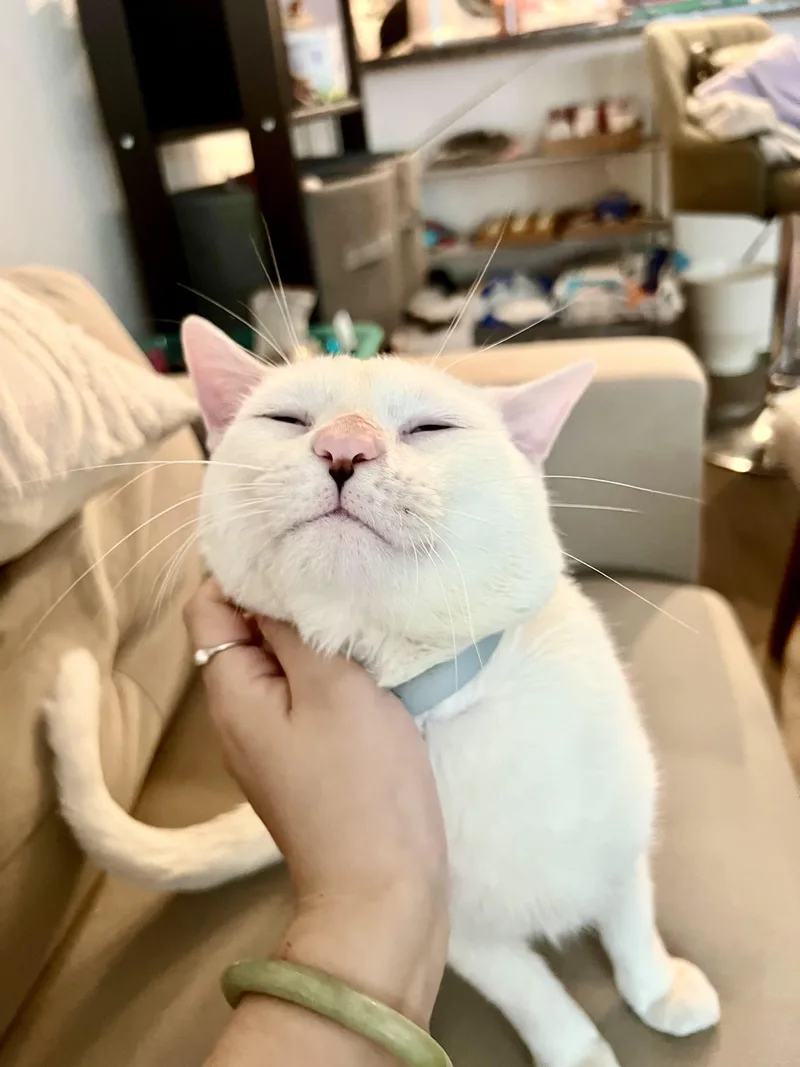 Little Johnny thumbnail 5