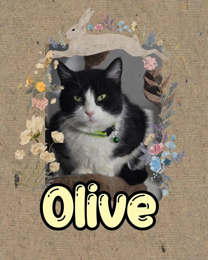 Olive