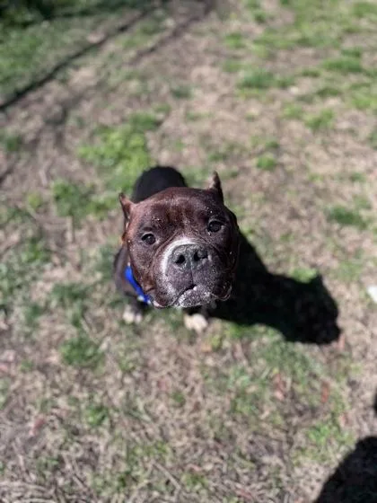 El Salvador thumbnail 2