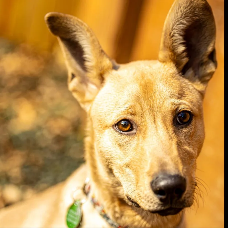 Brain Storm thumbnail 5