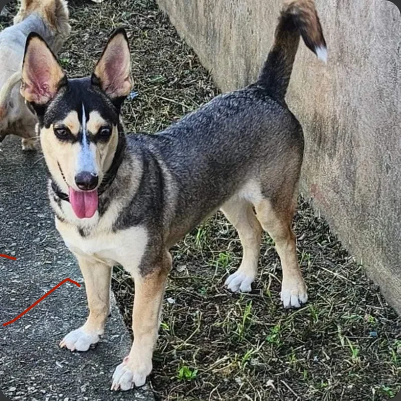 Maya May "your Every