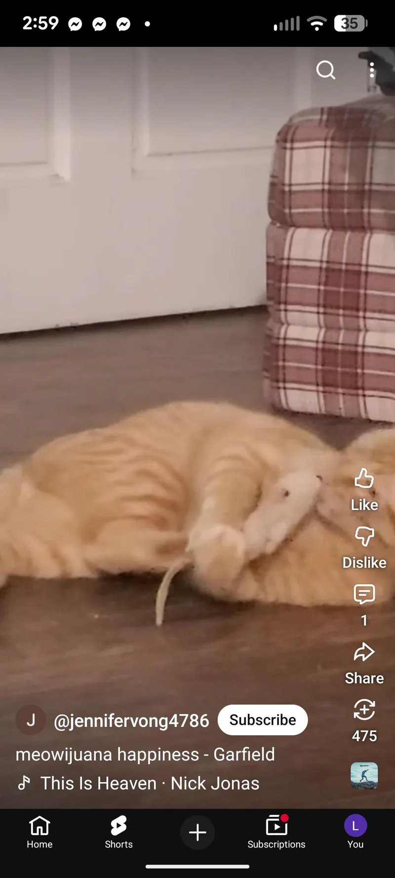 Garfield thumbnail 4