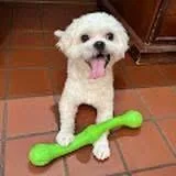 Alfie thumbnail 3