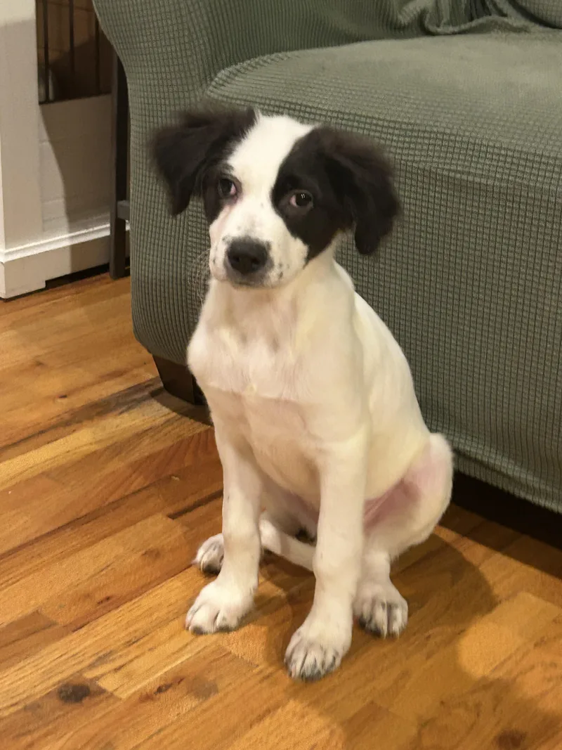 Minnie