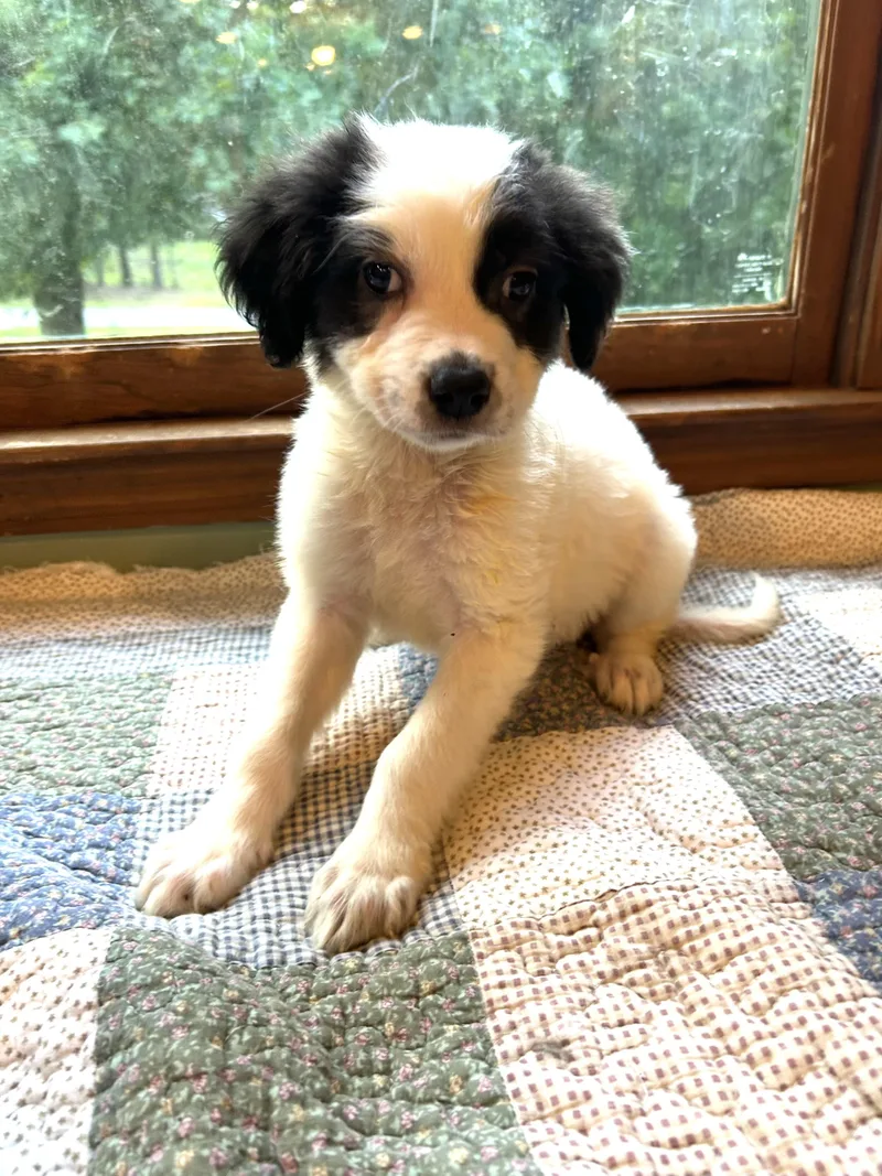 Minnie thumbnail 3