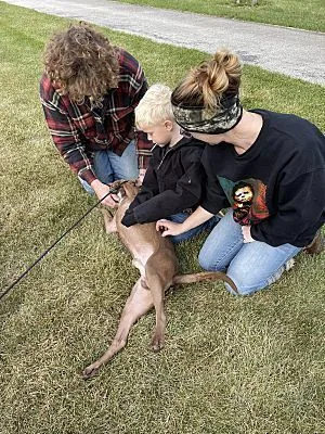 Max  Lowell  thumbnail 2