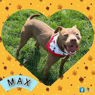 Max  Lowell  thumbnail 4