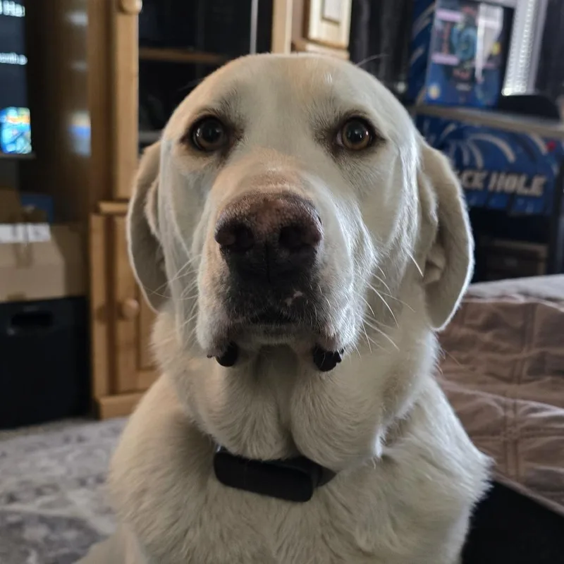 Khloe thumbnail 3