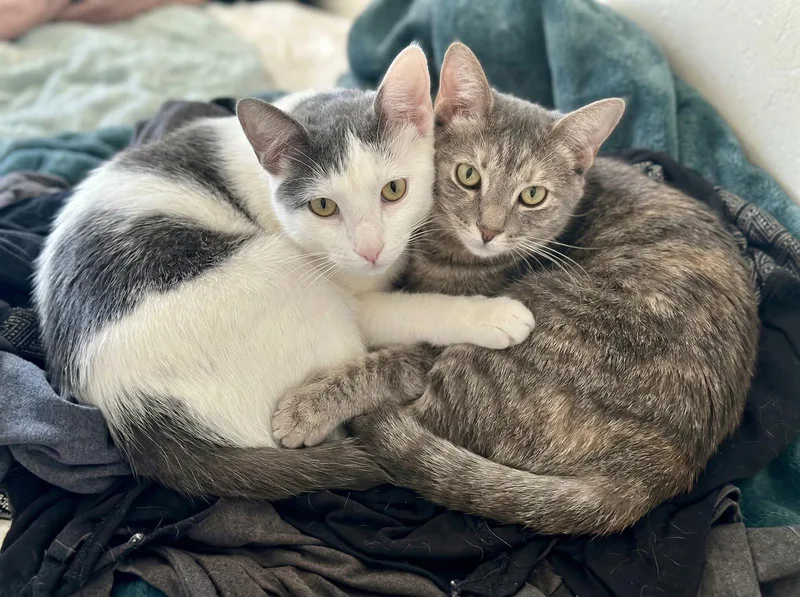 Ellie And Teddy thumbnail 3