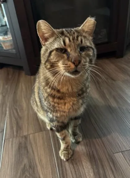 Ichabod  `a Priority