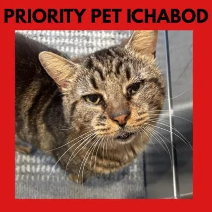 Ichabod  `a Priority thumbnail 2