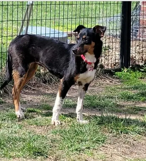 Charlotte thumbnail 2