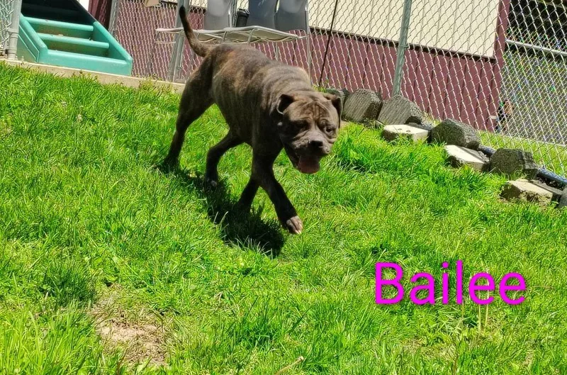 Bailee thumbnail 2