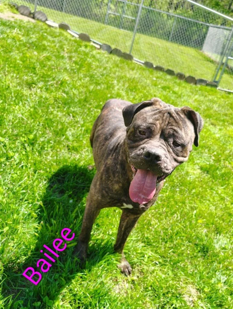 Bailee thumbnail 3