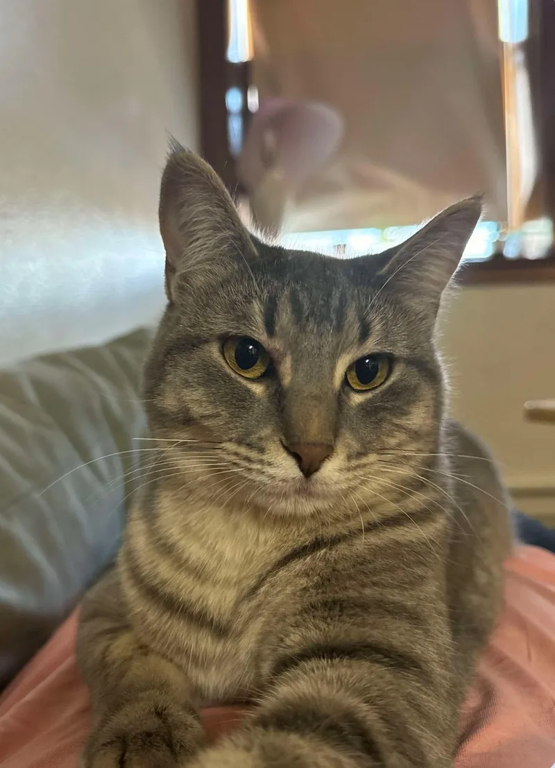 Tsuki & Willow  thumbnail 3