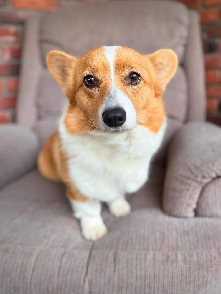 Lulu thumbnail 3