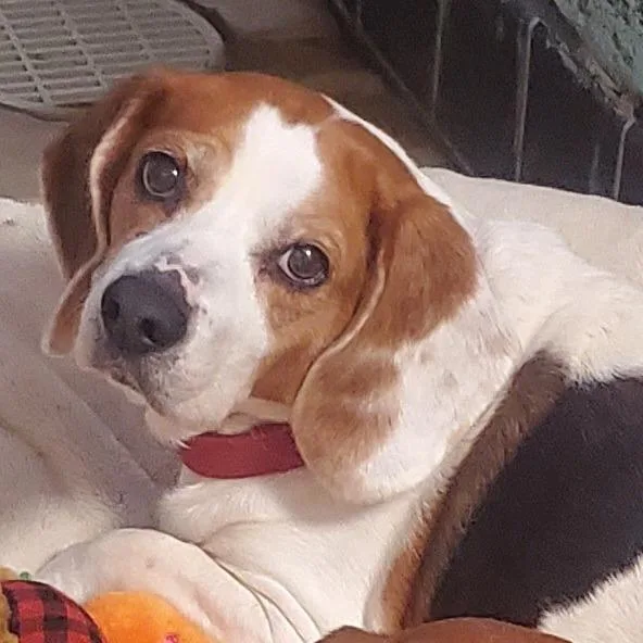 Eden Grace thumbnail 2