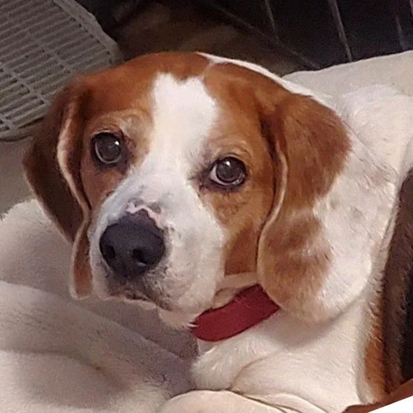 Eden Grace thumbnail 3