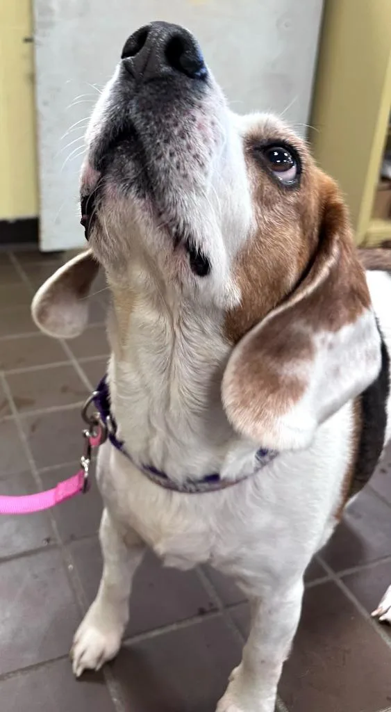 Eden Grace thumbnail 5