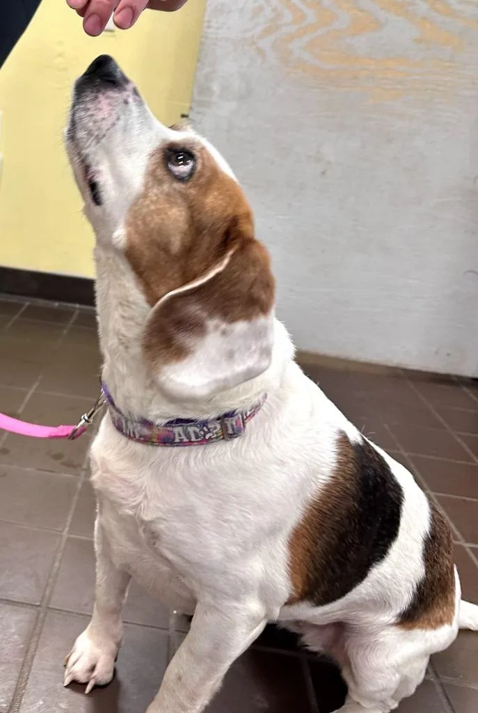 Eden Grace thumbnail 6