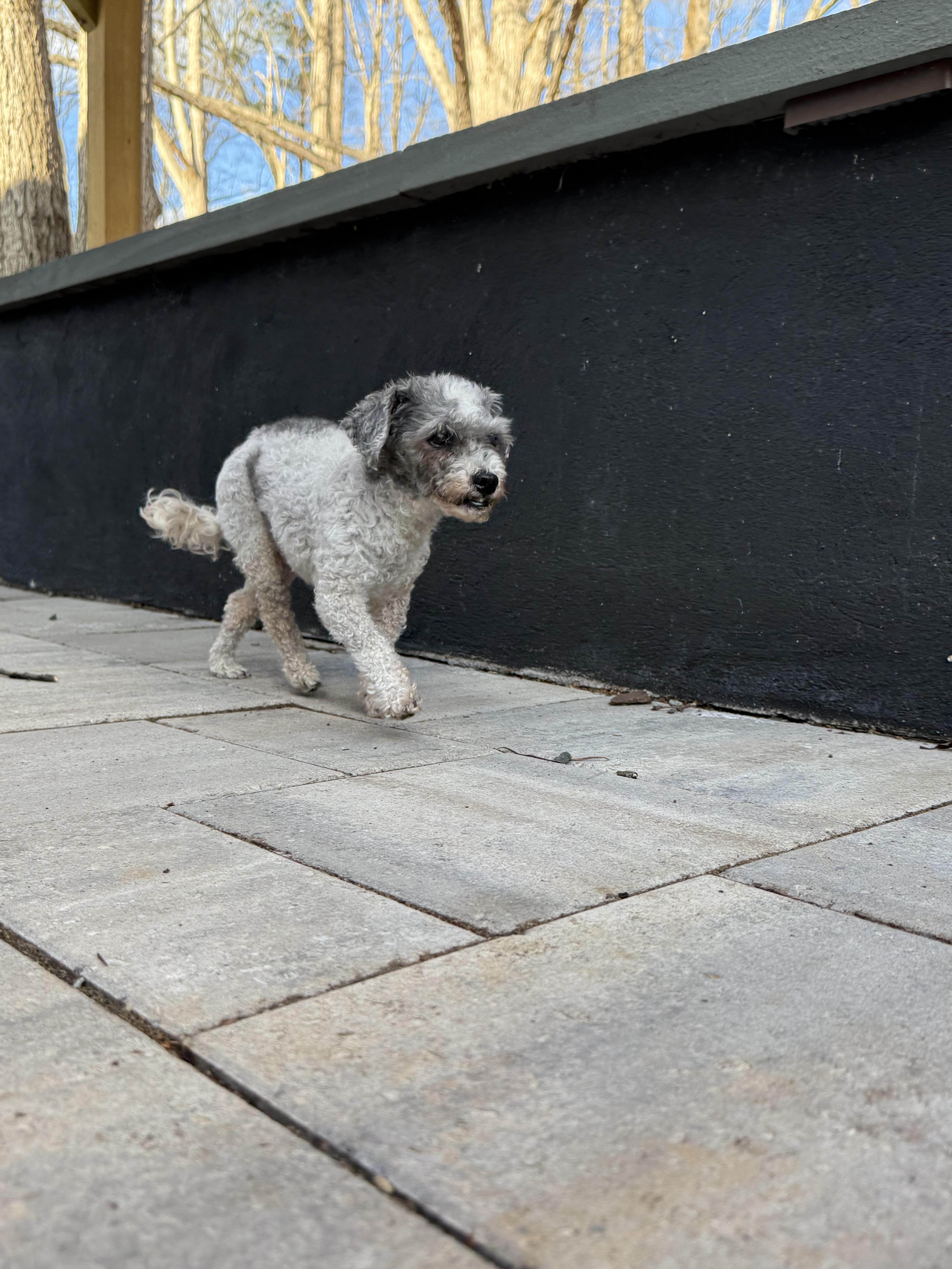 Gravy Boat thumbnail 3