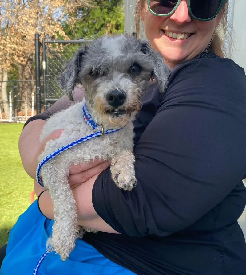 Gravy Boat thumbnail 4