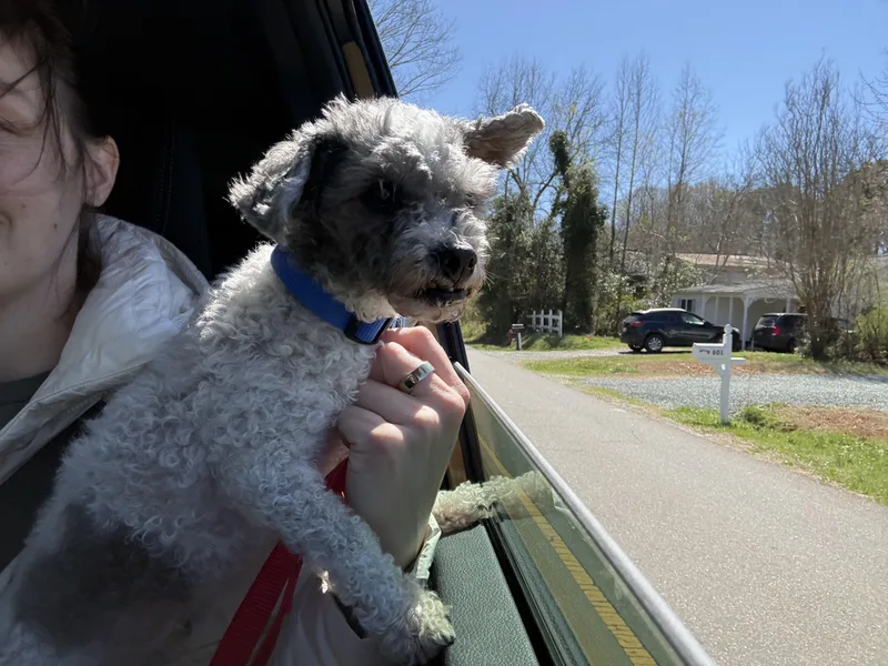 Gravy Boat thumbnail 5