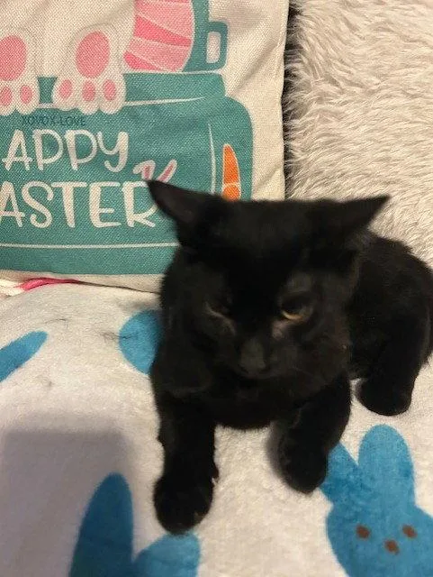 Chistery thumbnail 2