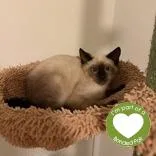 James thumbnail 2