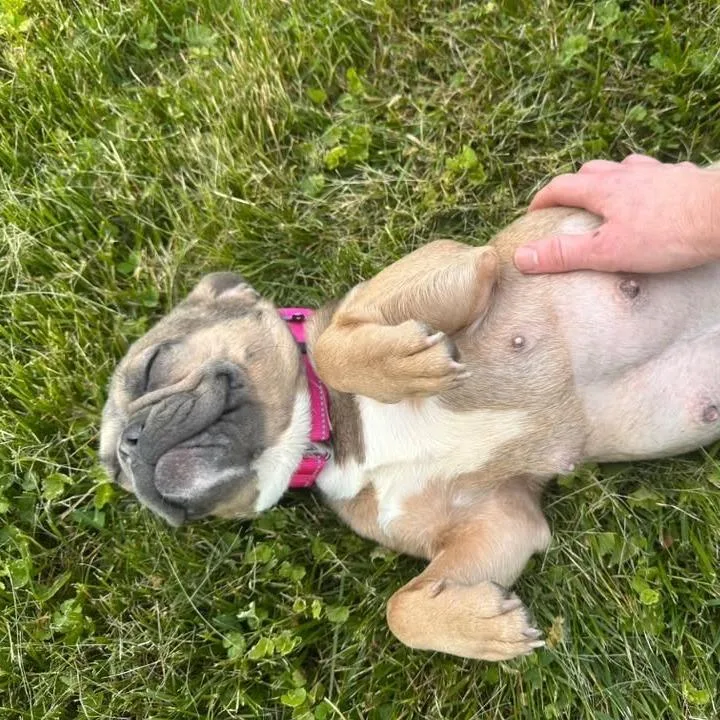 Lola thumbnail 5
