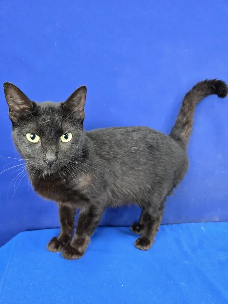 Molecule thumbnail 2