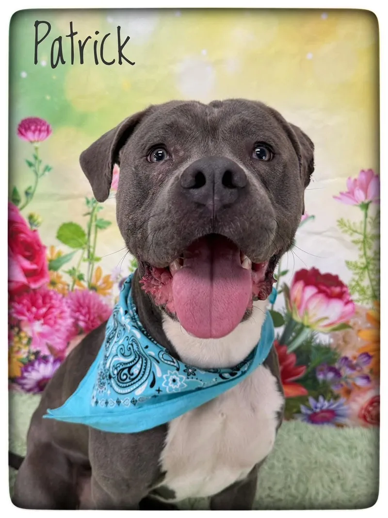 Patrick