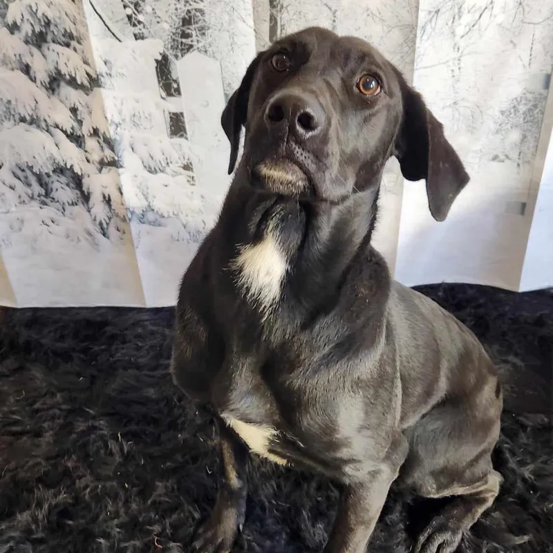 Bonnie Jum thumbnail 2