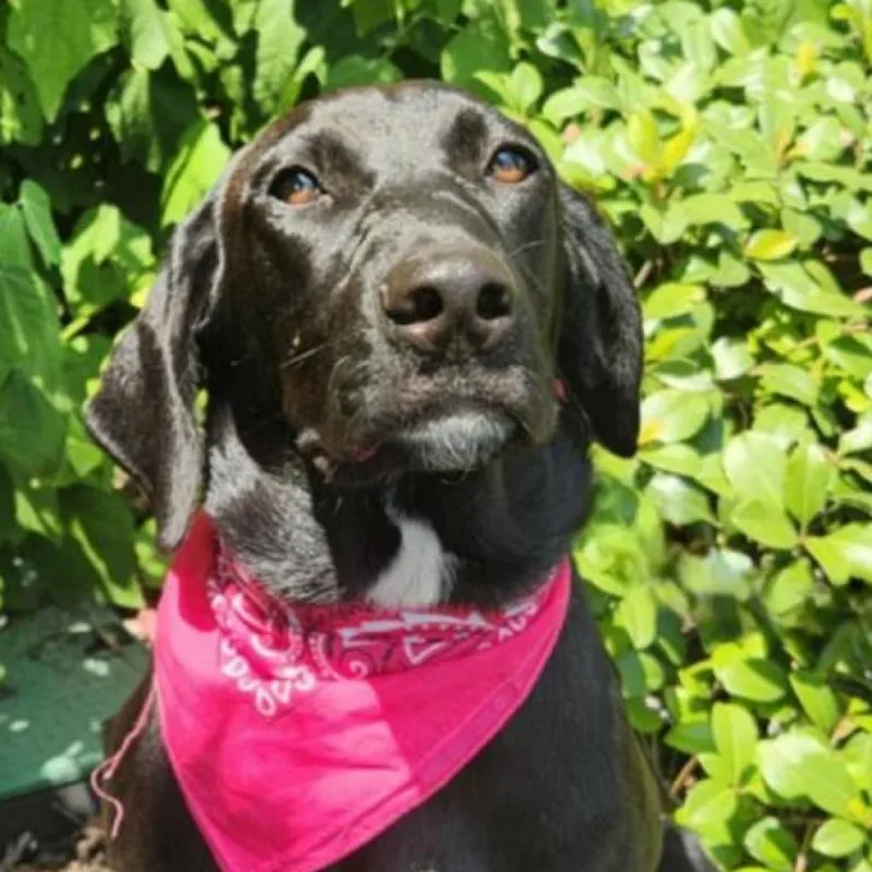 Bonnie Jum thumbnail 5