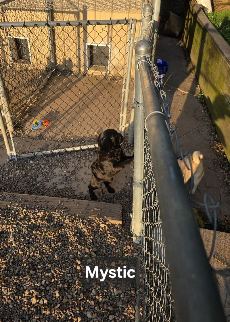 Mystic thumbnail 4